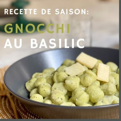 fresh basil potato gnocchi