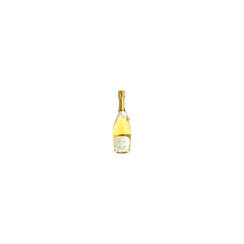 Olive oil with basil 25cl